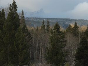 17 storms keep coming (Spring Solstice Again)