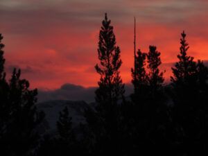 18 red sunste (February 2022)