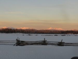 7 sunrise nimpo (February 2022)