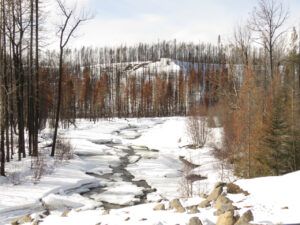 IMG_7074 (February 2022)