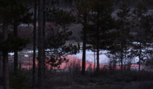 11 first open water (Transition From Winter)