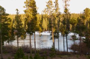 14 pond ice going (Transition From Winter)