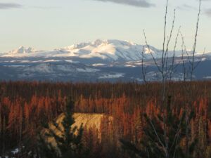 2 from lookout (Bella Coola Visit)