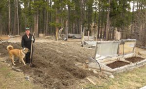 21 Alyssa dug garden (Transition From Winter)