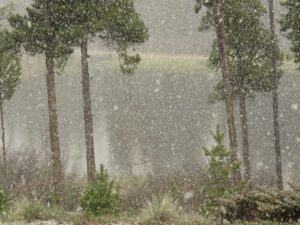 22 heavy snowfall (Bella Coola Visit)