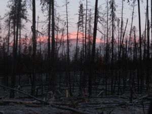 24 nogwon early (Bella Coola Visit)