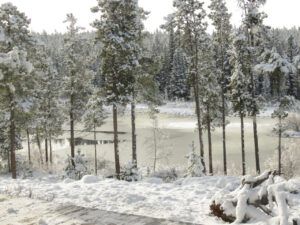 25 pond (Transition From Winter)