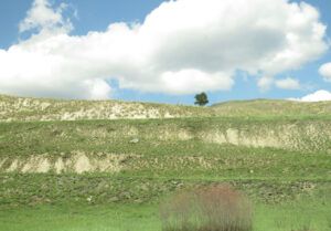 26 bull canyon (Bella Coola Visit)