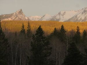 28 moody morning (Bella Coola Visit)