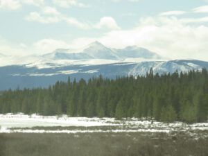 5 P from Cariboo flats (Transition From Winter)