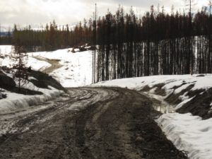 6 road (Transition From Winter)