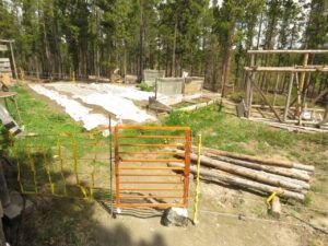 IMG_8069 (Bella Coola Visit)