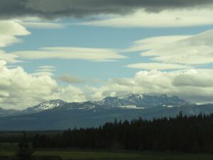 1 PP lacking snow (In Pursuit of Alpine Plants)