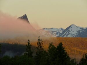 1 finger peak (JUNE 2022)