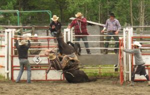 1. Horse reared from chute (Anahim Lake Stampede 2022)