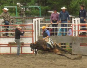 11 cow riding three (Anahim Lake Stampede 2022)