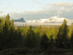 11 sunrise 3 (The Greening)