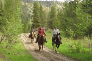 13 the cowboys (The Greening)