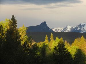 13 morning sun (JUNE 2022)