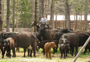 13 round up (The Greening)