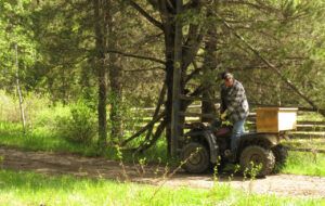 14 lee calling (The Greening)