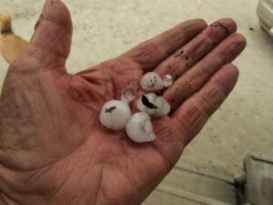 15 hailstones (JUNE 2022)