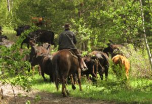 16 moving 2 (The Greening)