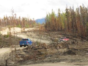 19 mushroom pickers (Spring in the Burn)