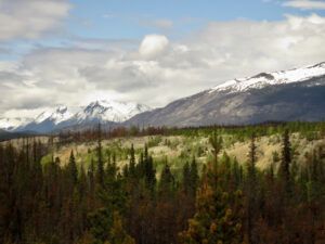 22 overall fire view (Spring in the Burn)