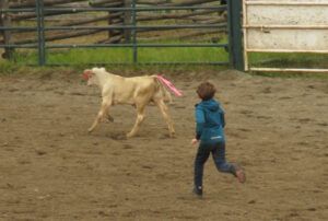 25 almost (Anahim Lake Stampede 2022)