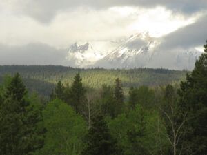 28 rain (Spring in the Burn)