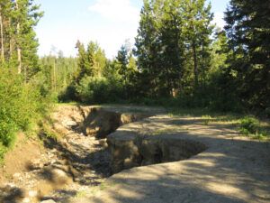 3 big washout (In Pursuit of Alpine Plants)
