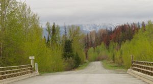 6 bridge (The Greening)