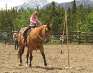 6 pole bending (Tatla Lake Gymkhana 2022.)