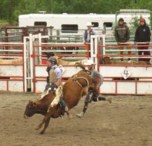8a cow riding 1 (Anahim Lake Stampede 2022)