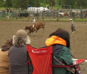 9 cow riding (Anahim Lake Stampede 2022)