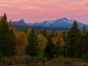 1 sporadic colour (Fall At Ginty Creek)