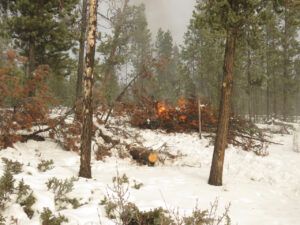 12a burning 1 (Arrival of Winter)