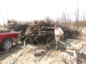 16 firewood (Basically August)