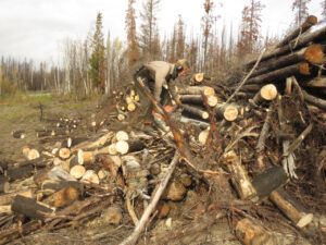 17 burn pile jade (“INDIAN SUMMER”)