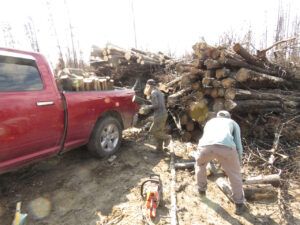 17 hikers helping (Basically August)