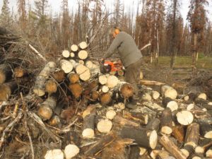 18 burn pile me (“INDIAN SUMMER”)