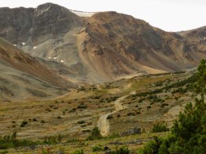 18 to mine (Perkins Peak Fall 2022.)