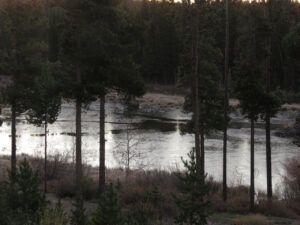 19 first ice (Fall At Ginty Creek)