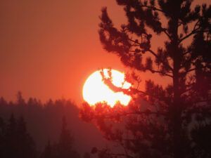 5 sunrise smoke (“INDIAN SUMMER”)