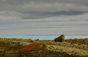 21 minimalist (Perkins Peak Fall 2022.)