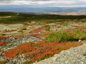 22 looking back home. (Perkins Peak Fall 2022.)