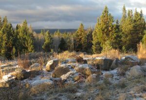 26 first snow (Fall At Ginty Creek)