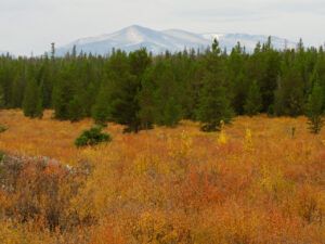 1 Nogwon (Fall At Ginty Creek)