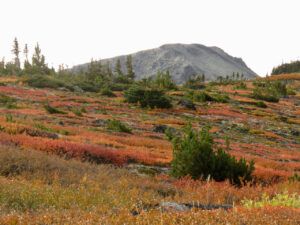 8 (Perkins Peak Fall 2022.)